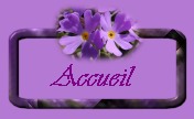 Accueil