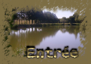 Entre