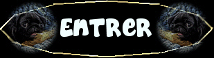 Entrer