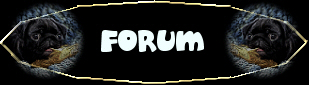 Forum