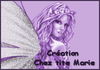 Copyright Cration Chez tite Marie