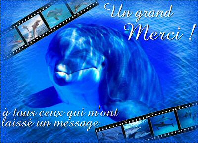 Un grand Merci!  tous ceux qui m'ont laiss un message