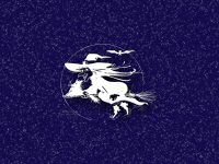 fdsecran10