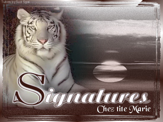 CTM -Signatures